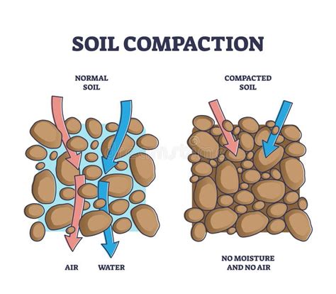 Illustration comparative : un sol structuré par des C.A.H. versus un sol compacté et déstructuré