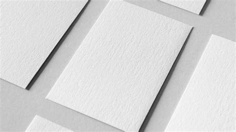 une composition élégante montrant des étiquettes en papier texturé entourées de feuillages naturels