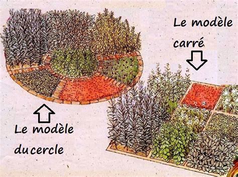 Schéma de disposition d'une plate-bande type avec aromatiques en bordure