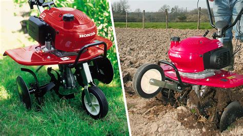 Motobineuse Honda en action dans un potager