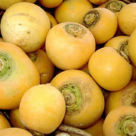 Navets boule d'or et patates douces entiers