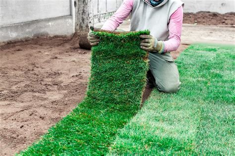 Vue panoramique d'une installation de gazon en rouleaux dans un jardin résidentiel au Maroc