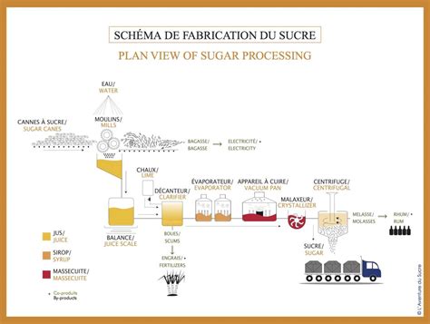 Schéma simplifié du processus de transformation de la canne à sucre en sucre et éthanol