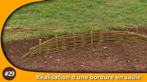 Schéma montrant l'enracinement profond du saule pleureur en bordure de berge et son rôle de stabilisation des sols