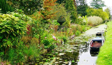 Vue aérienne des jardins flottants des Hortillonnages d'Amiens