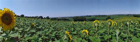 Vue panoramique sur les coteaux agricoles de l'Isère, illustrant l'intégration des espaces cultivés dans le paysage naturel.
