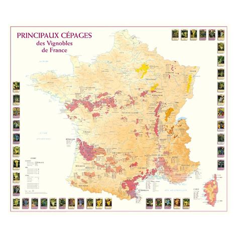 Carte schématique des principaux vignobles libanais et de la plaine de la Békaa