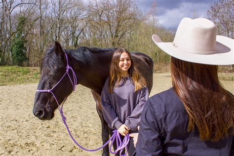 Illustration thématique représentant la relation harmonieuse entre un cavalier et son poney dans un cadre naturel