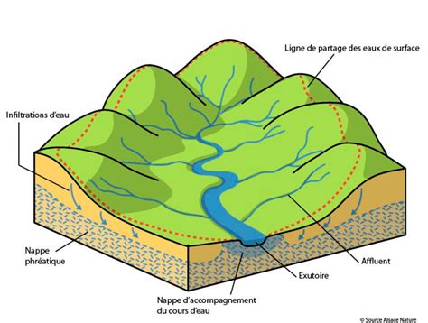 Schéma illustrant un bassin versant avec ses lignes de crête, son réseau hydrographique et son exutoire
