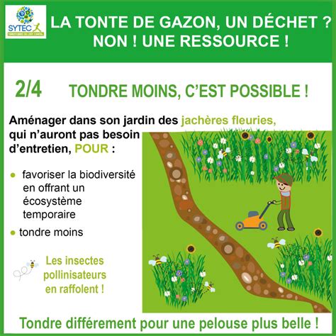Tonte de gazon transformée en ressource précieuse