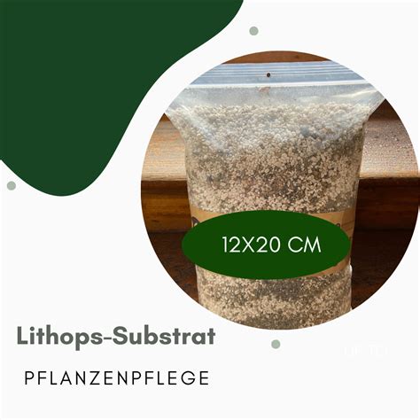 Substrat idéal pour les Lithops