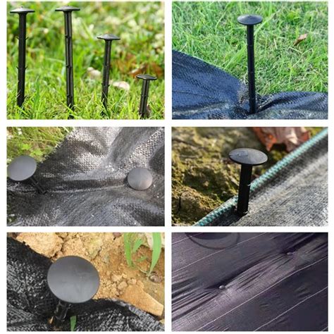 Serre d'héliciculture avec tapis végétal