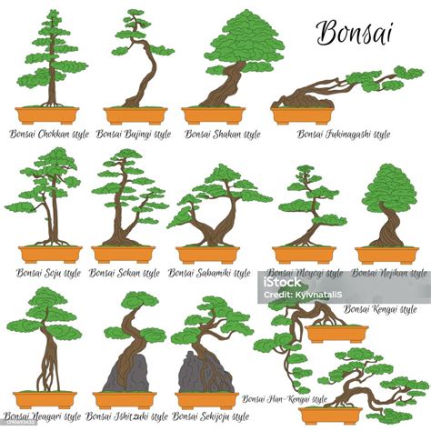 Différents types de taille de bonsaï illustrés