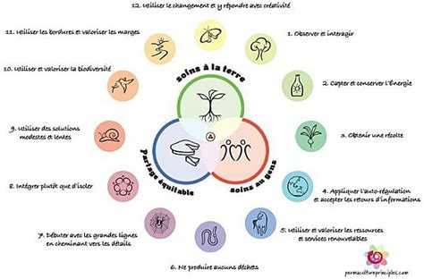 Schéma des principes fondamentaux de la permaculture