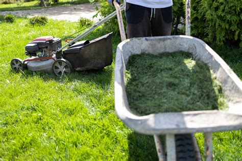 Types de tondeuses avec fonction mulching
