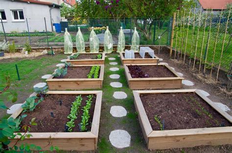 Carrés potagers de différentes formes et tailles