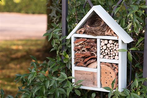Hôtel à insectes en bois