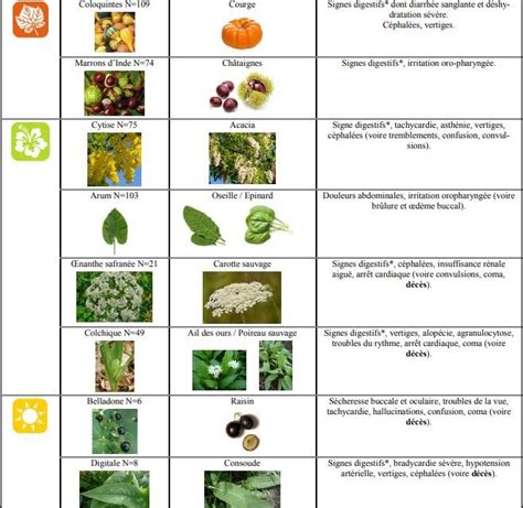 Tableau des plantes comestibles et toxiques pour les lapins