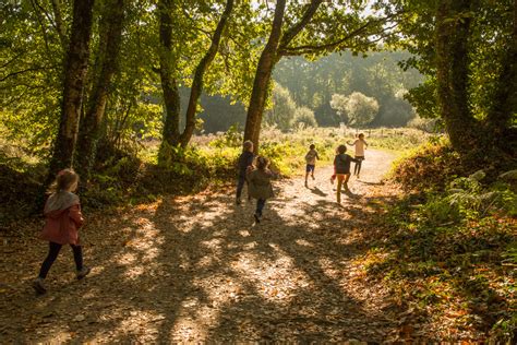 Famille pratiquant l'escalade de bloc sur un rocher en forêt, avec des enfants souriants