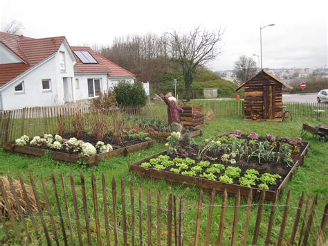 jardin potager avec taupinière