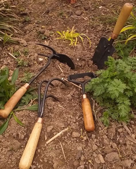 Collection d'outils de jardinage anciens