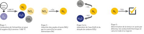 Diagramme du processus de la méthode Dumas pour l'analyse de l'azote