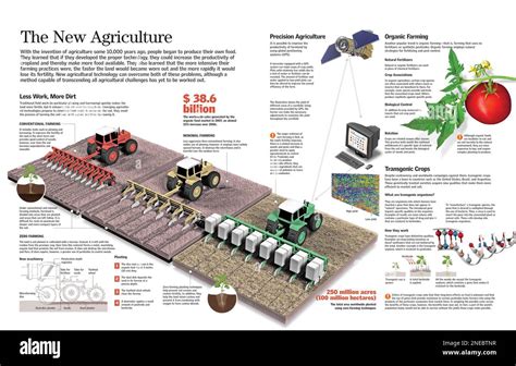 Infographie comparative des méthodes de semis
