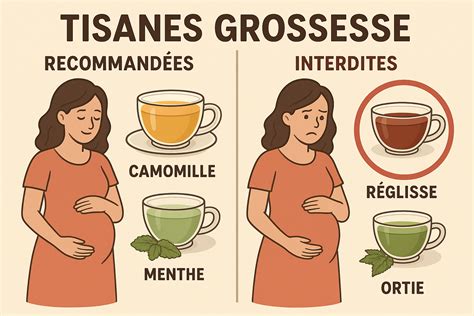 Infographie des tisanes recommandées pendant la grossesse