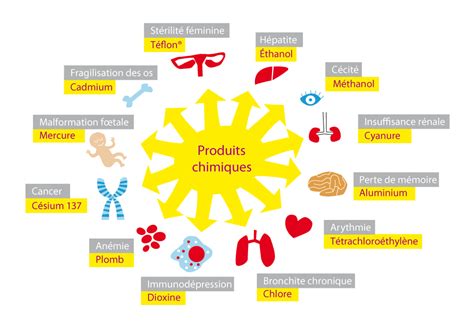 Schéma des effets néfastes des produits chimiques sur l'écosystème du sol