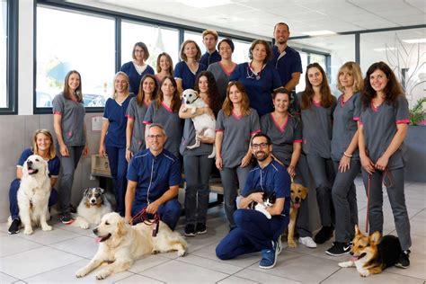Équipe de vétérinaires et assistants vétérinaires en action