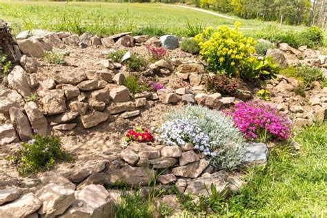 Paysage de jardin rocailleux transformé avec des cultures en buttes et des zones de paillage