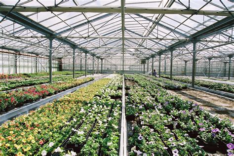 Schéma des différents métiers de la filière horticole et maraîchère