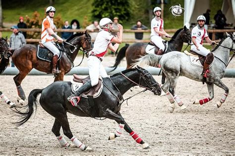 Démonstration de horse-ball sur l'arène centrale lors du Tournoi des 4 Nations