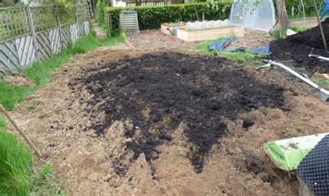 Mélange de terre et compost pour plantation