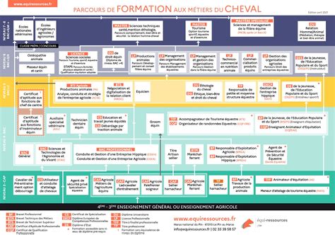 Schéma explicatif des niveaux équestres (Galops) et parcours de formation