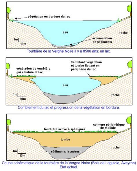 Schéma de formation d'une tourbière et extraction de la tourbe