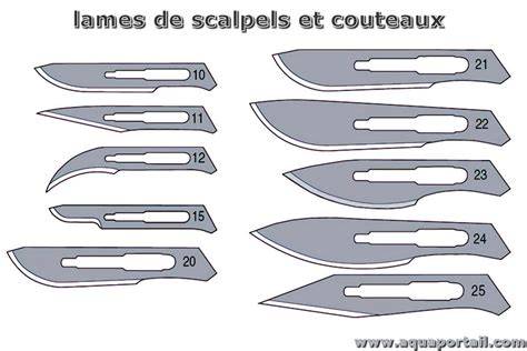 Infographie comparant les différents types de lames pour débroussailleuses selon le type de végétation
