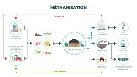 Diagramme illustrant le processus de méthanisation