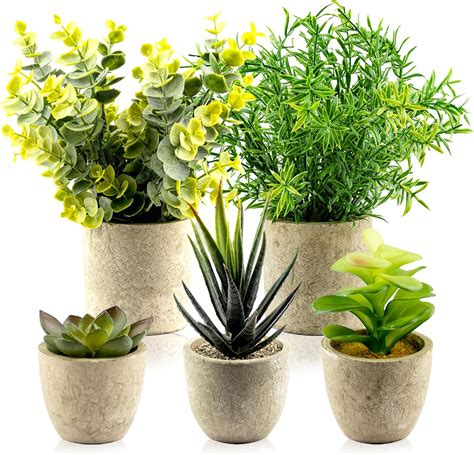 illustration de différentes plantes grasses artificielles en pot