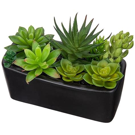 étagère décorée avec un mélange de plantes grasses artificielles