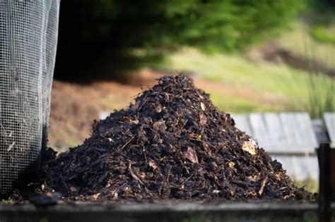 Tas de compost avec différents matériaux
