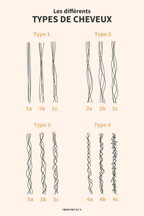 Schéma comparatif des différents types de supports d'étiquettes (piquets, boucles, punaises d'arbre)