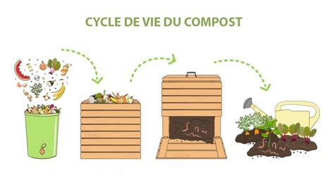 Illustration montrant l'emplacement idéal d'un composteur dans un jardin