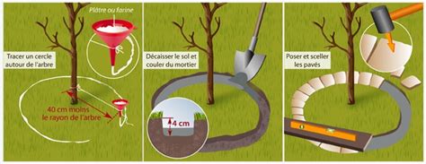 Schéma illustrant l'installation d'une bordure en bois autour d'un arbre