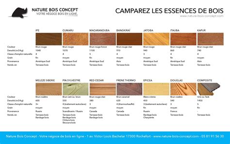 Infographie comparant la durabilité des différentes essences de bois pour le jardin