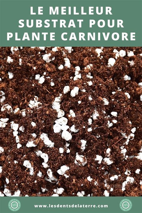 Schéma du mélange de substrat idéal pour les plantes carnivores