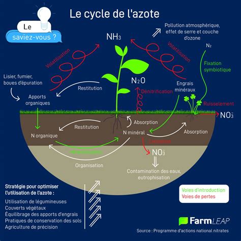 Schéma illustrant le cycle de l'azote dans un composteur de jardin avec apport de matières azotées