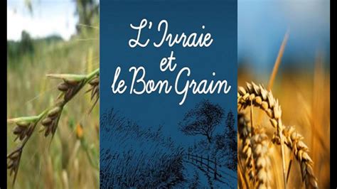 L'âme humaine comme un champ où cohabitent le bon grain et l'ivraie