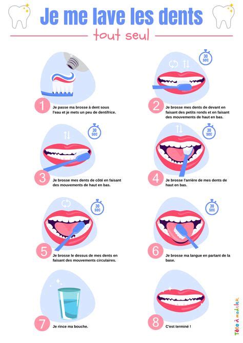 Schéma illustrant les zones de brossage recommandées pour un chien à poil dur
