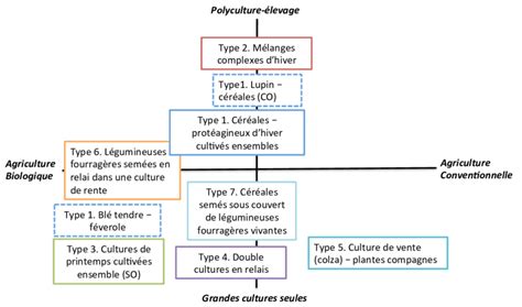 Différents schémas d'associations de cultures